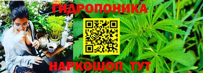 герыч Краснодар
